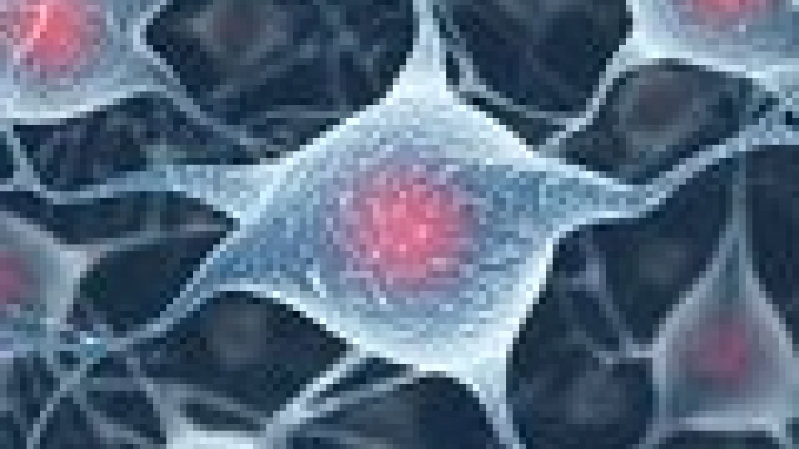 Antidepressants stimulate nerve cell growth