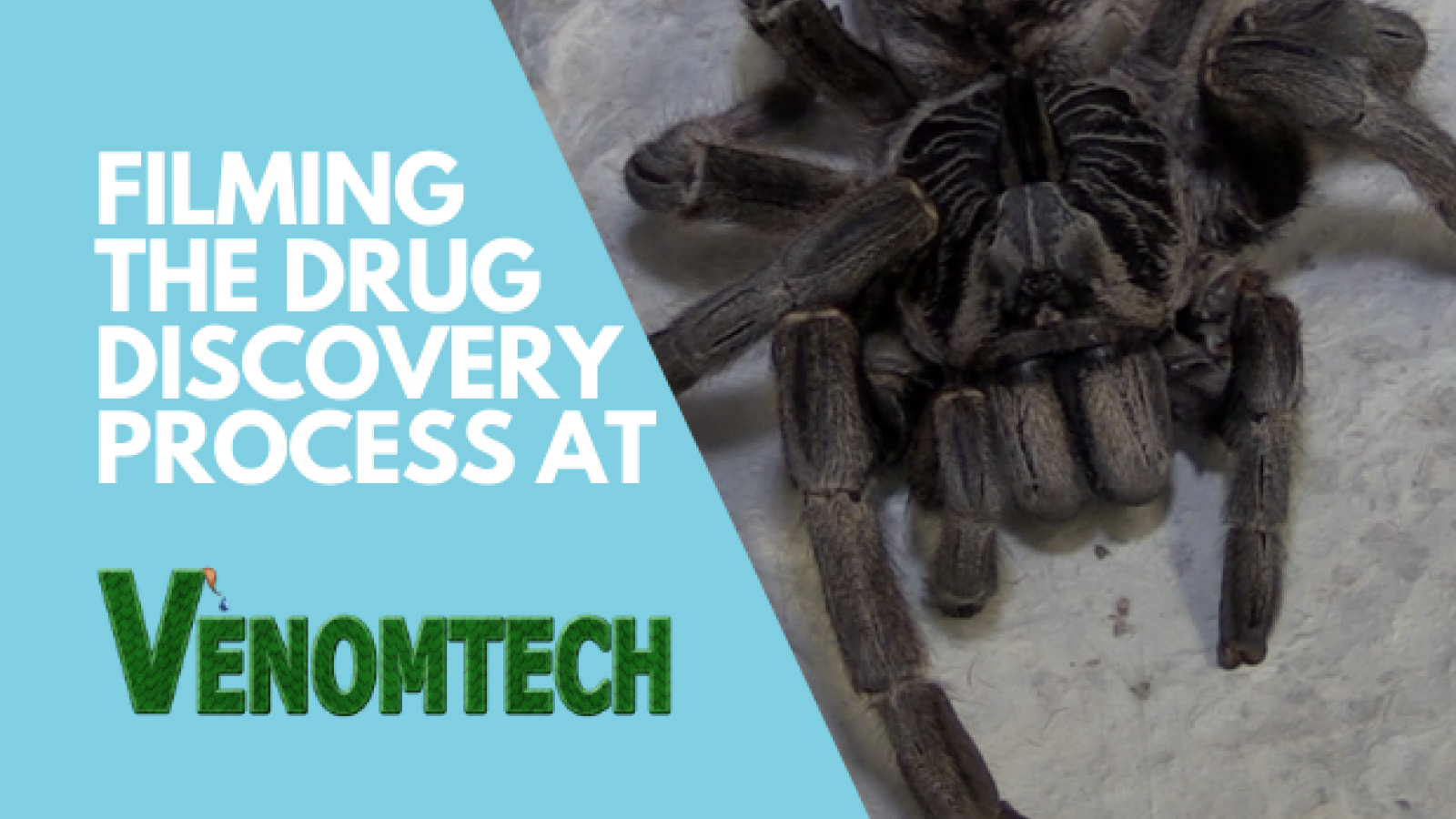 Drug Discovery with Venom :: Understanding Animal Research