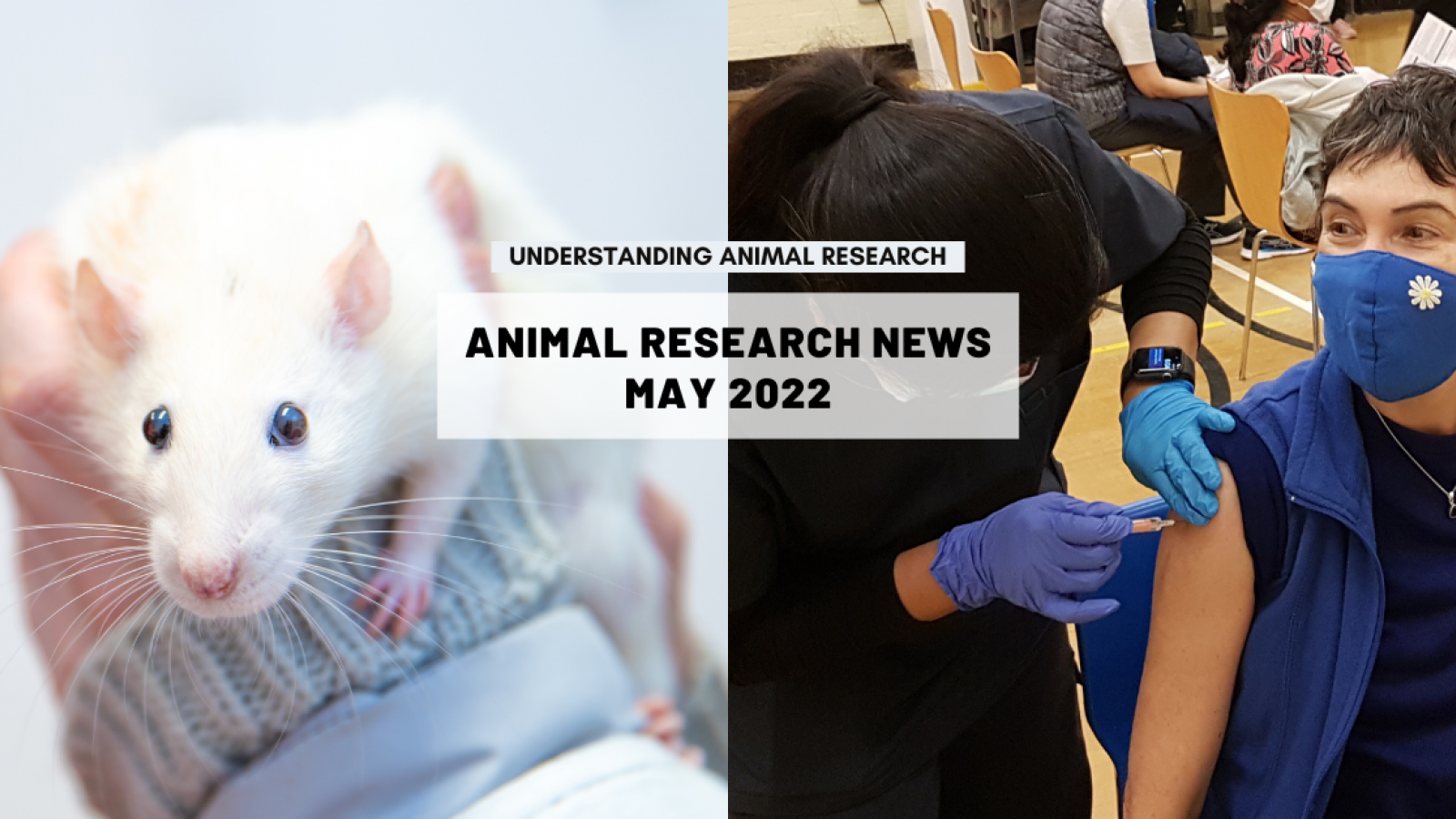 Animal Research News: May 2022