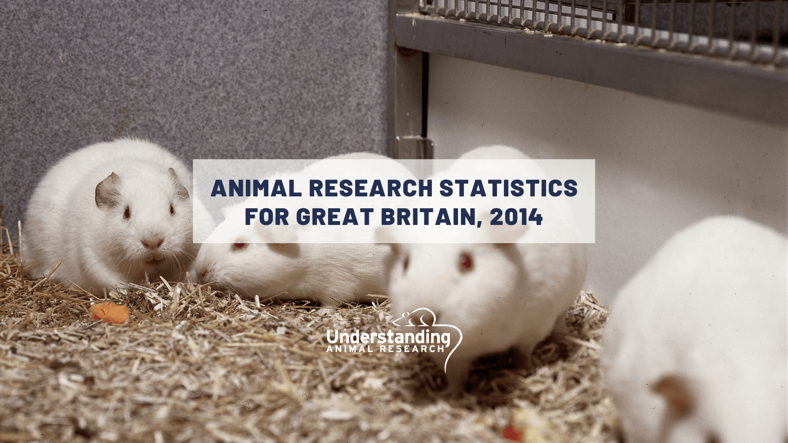 Animal research statistics for Great Britain, 2014