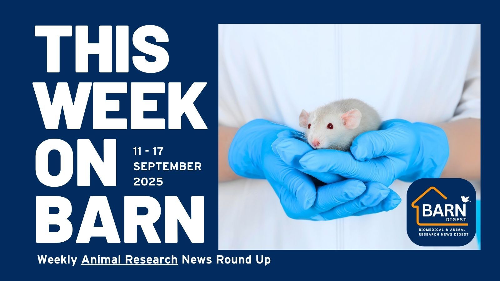 This week on BARN - animal research news from UAR members (11 - 17 September 2025)