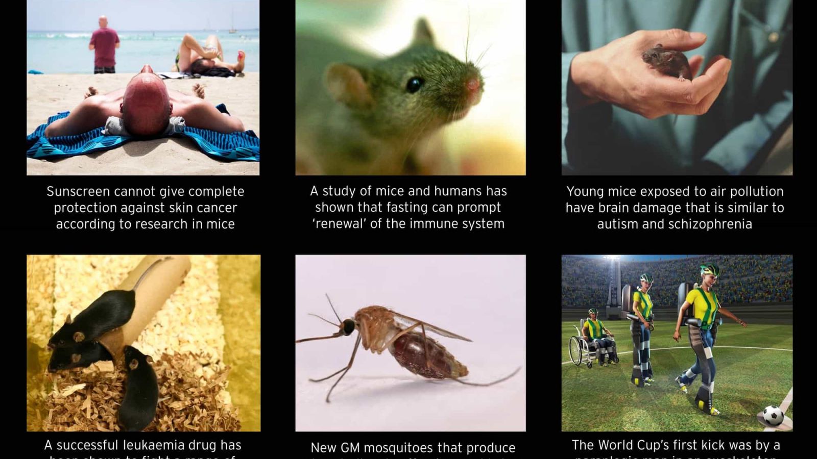 GM mosquitos used to reduce wild mosquito population