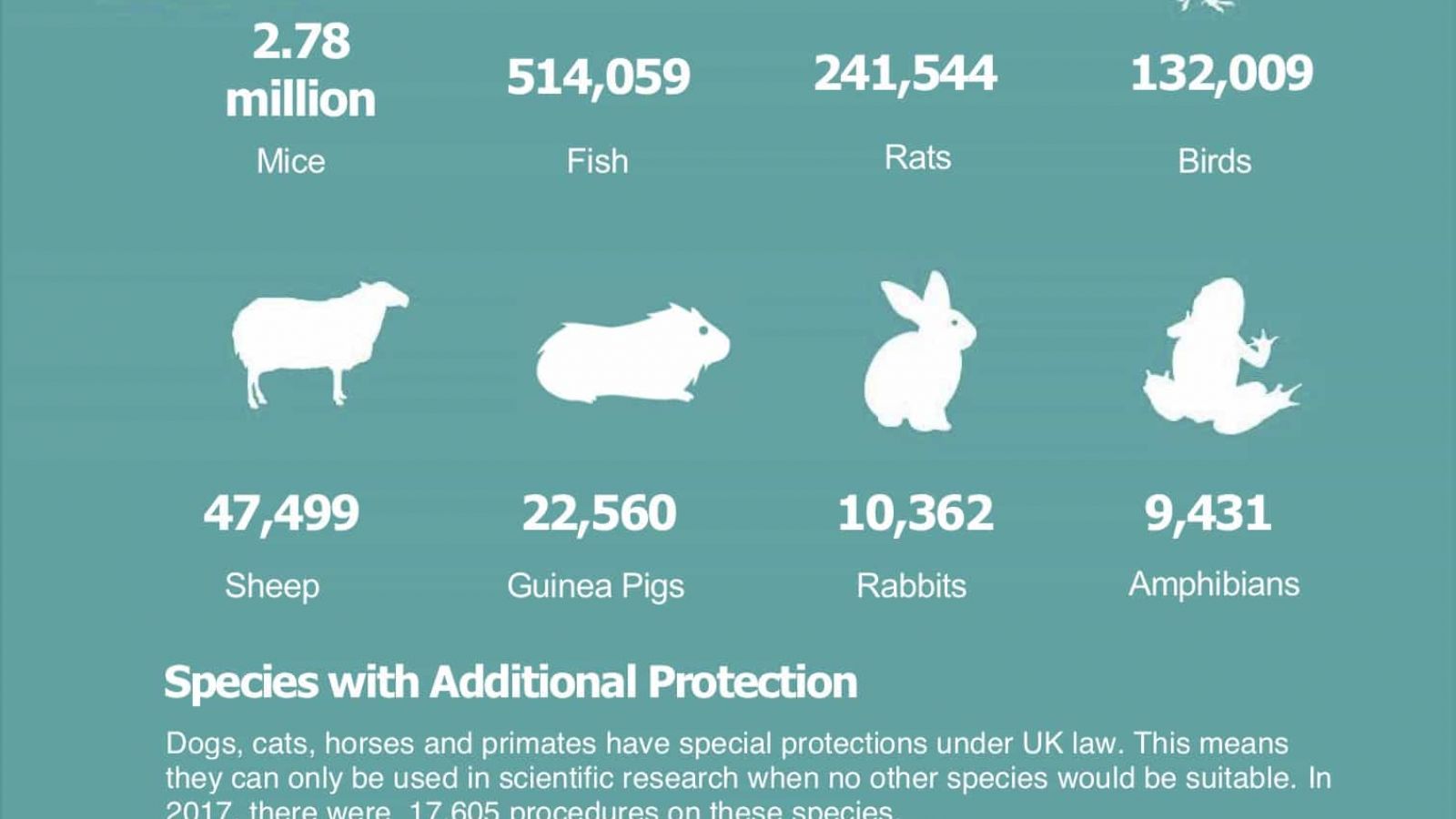 Animal research numbers in 2017