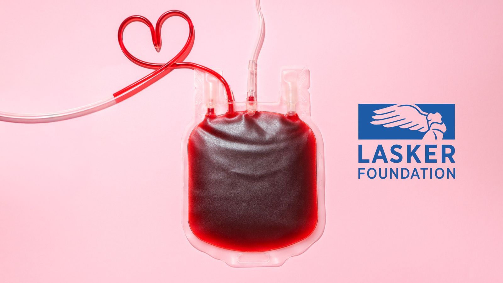 Preventing severe bleeding in haemophilia A patients – 2026 Lasker Prize