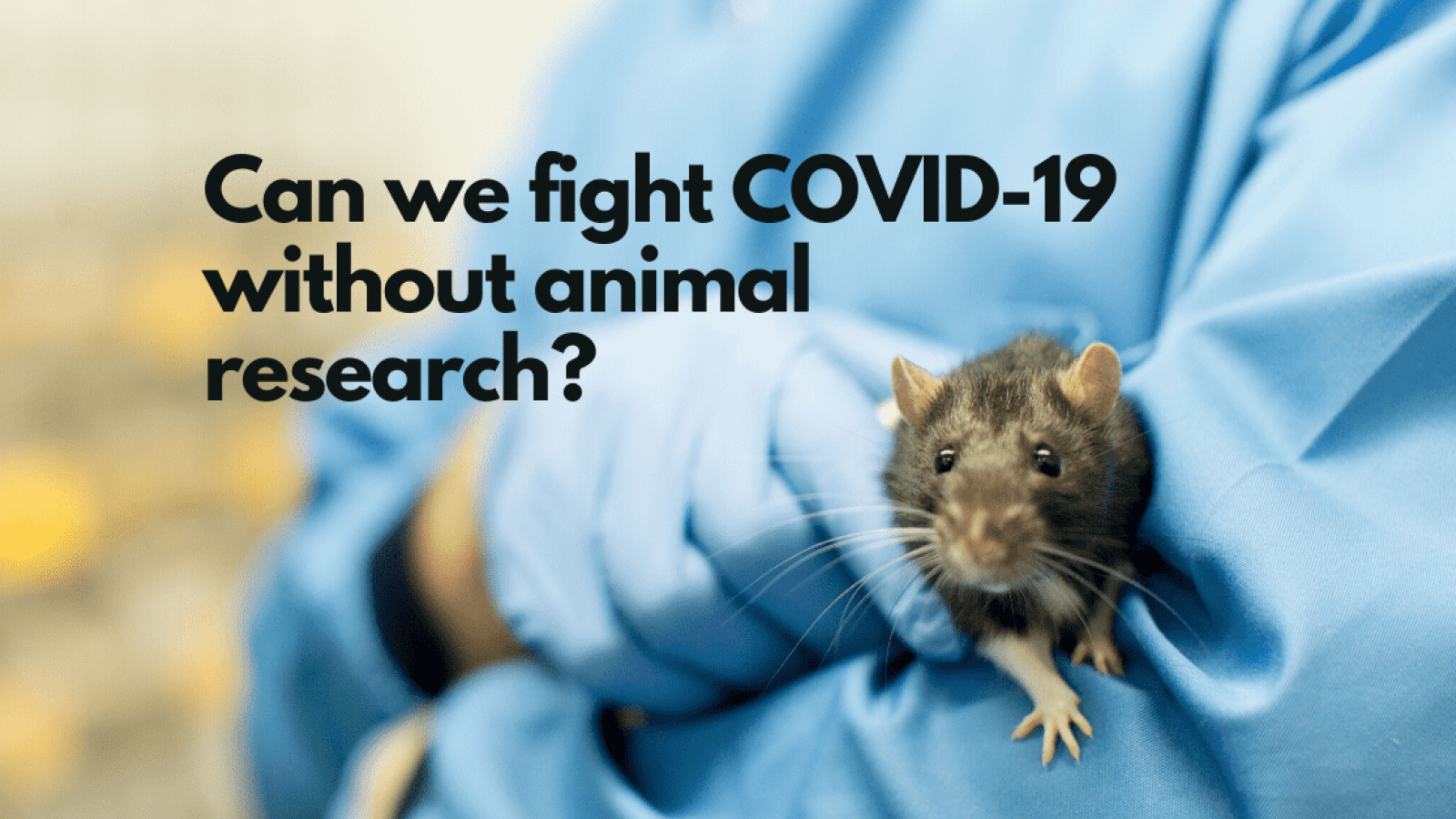 Can we fight COVID-19 without animal testing?