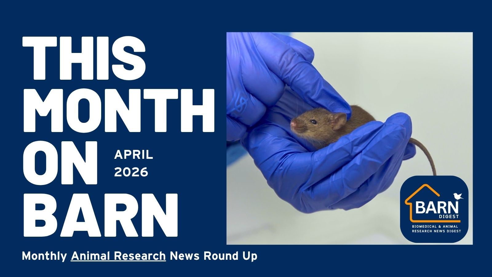This month on BARN - animal research news from UAR members (April 2026)