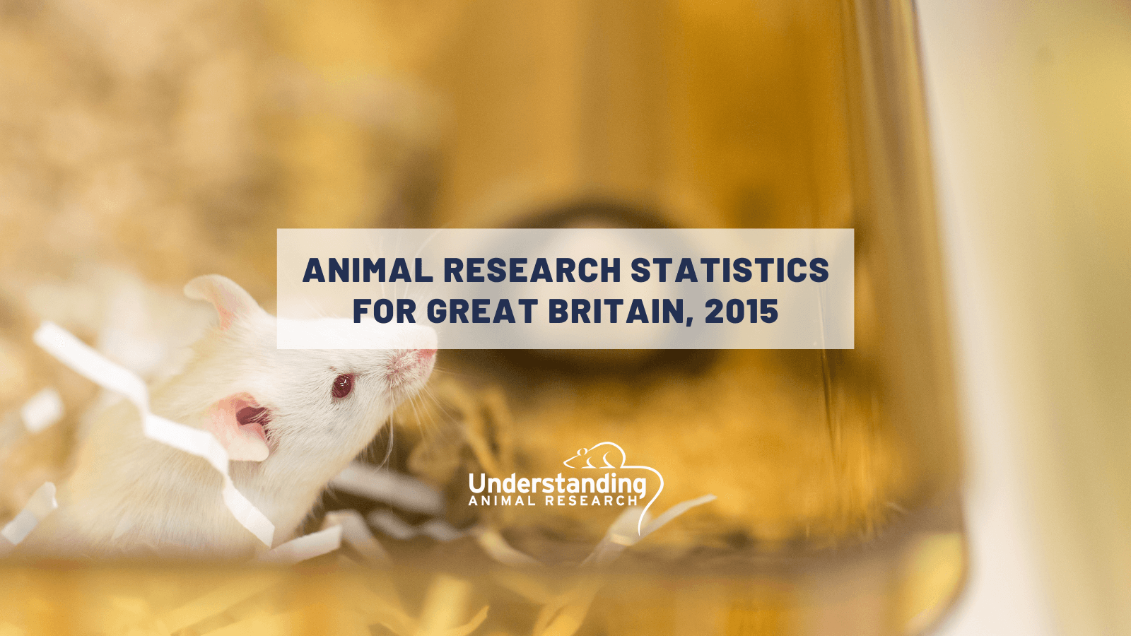 Animal research statistics for Great Britain, 2015