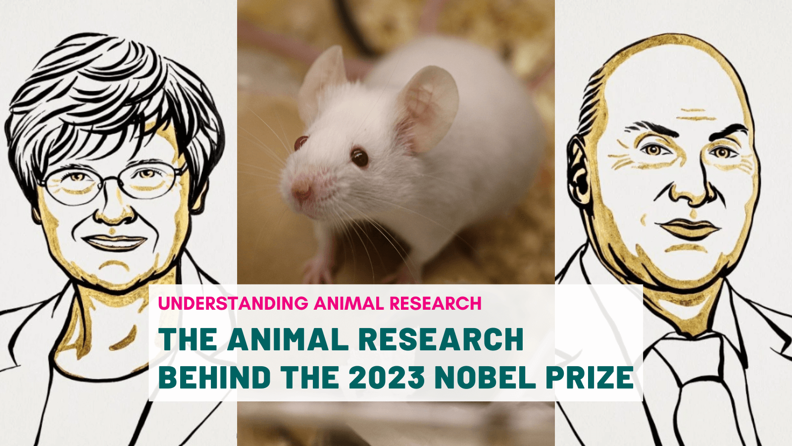 The animal research behind the 2023 Nobel Prize in Physiology or Medicine