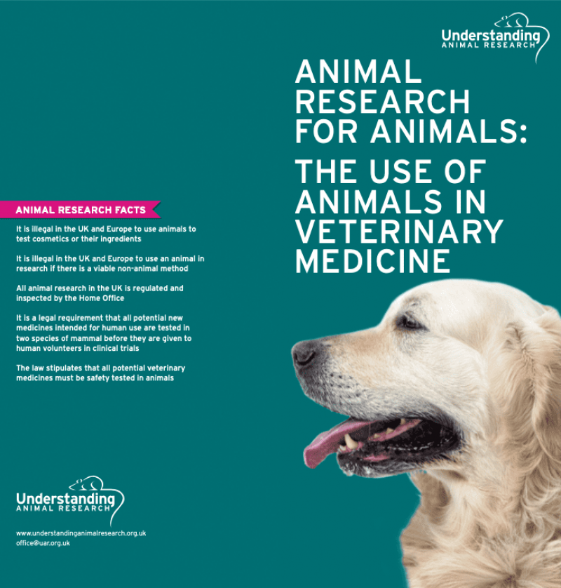 case studies animal research