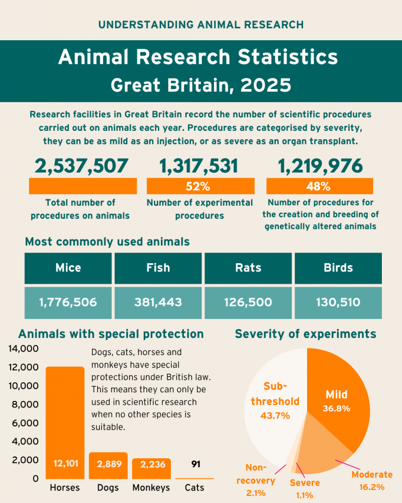 Animal research statistics for Great Britain, 2025 - infographic