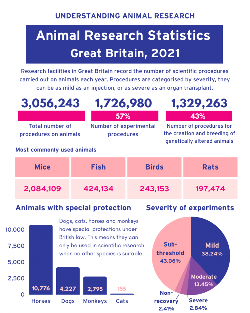 Animal research statistics for Great Britain, 2021