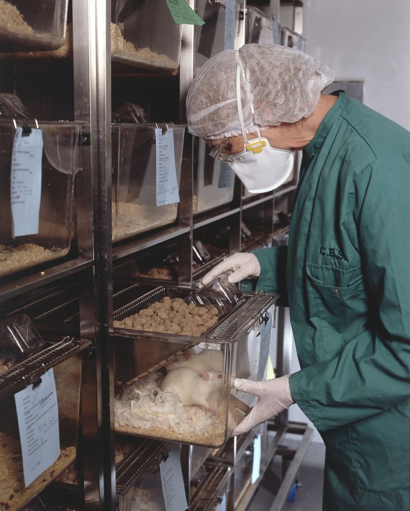 Technician with white rats
