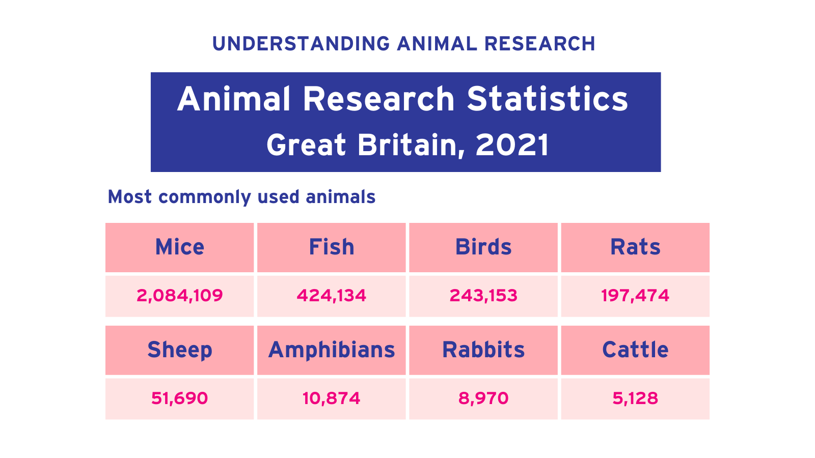 Animal research statistics for Great Britain, 2021 (most used species)