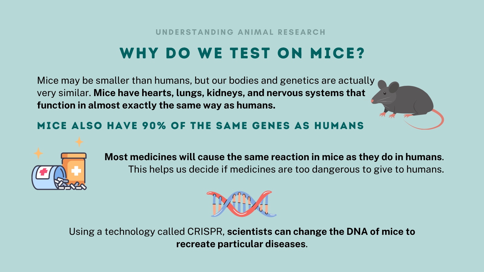 Why do we test in mice