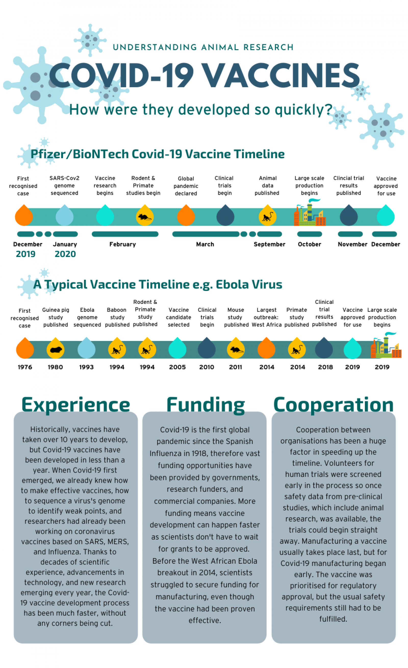 Pfizer Covid 19 vaccine timeline