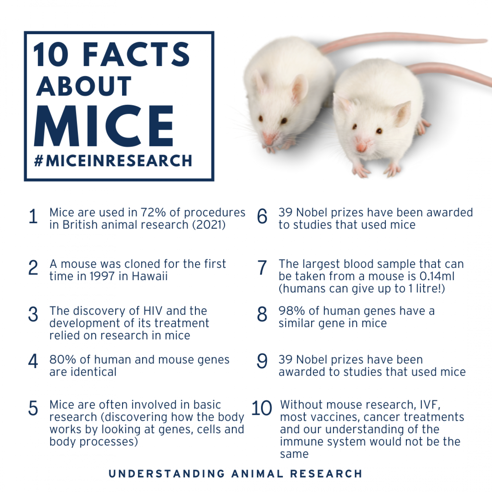 10 facts about mice #MiceInResearch 2022
