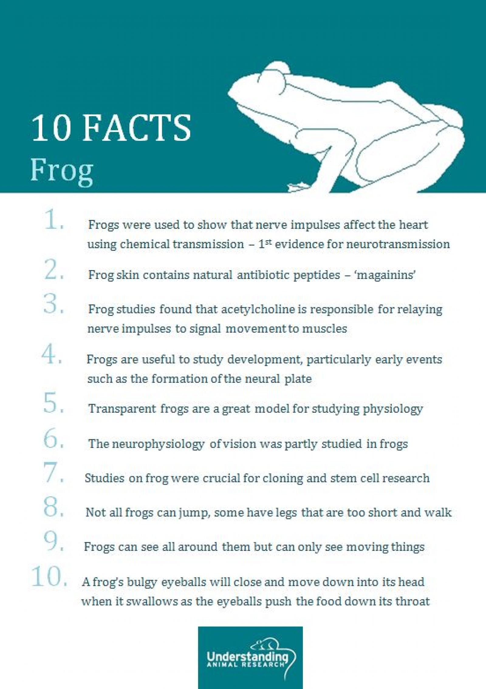 Frog 10 facts
