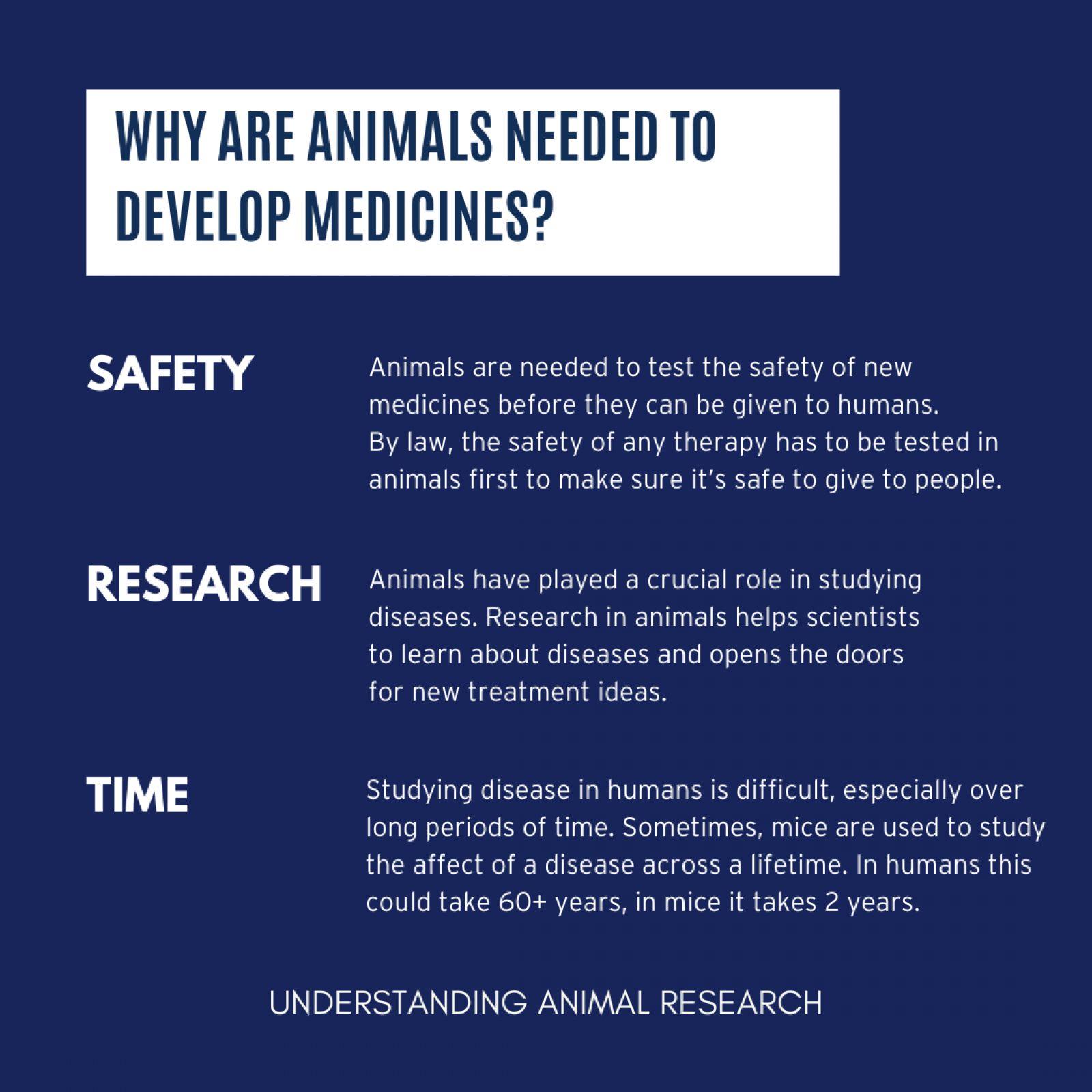 Why are animals used in research