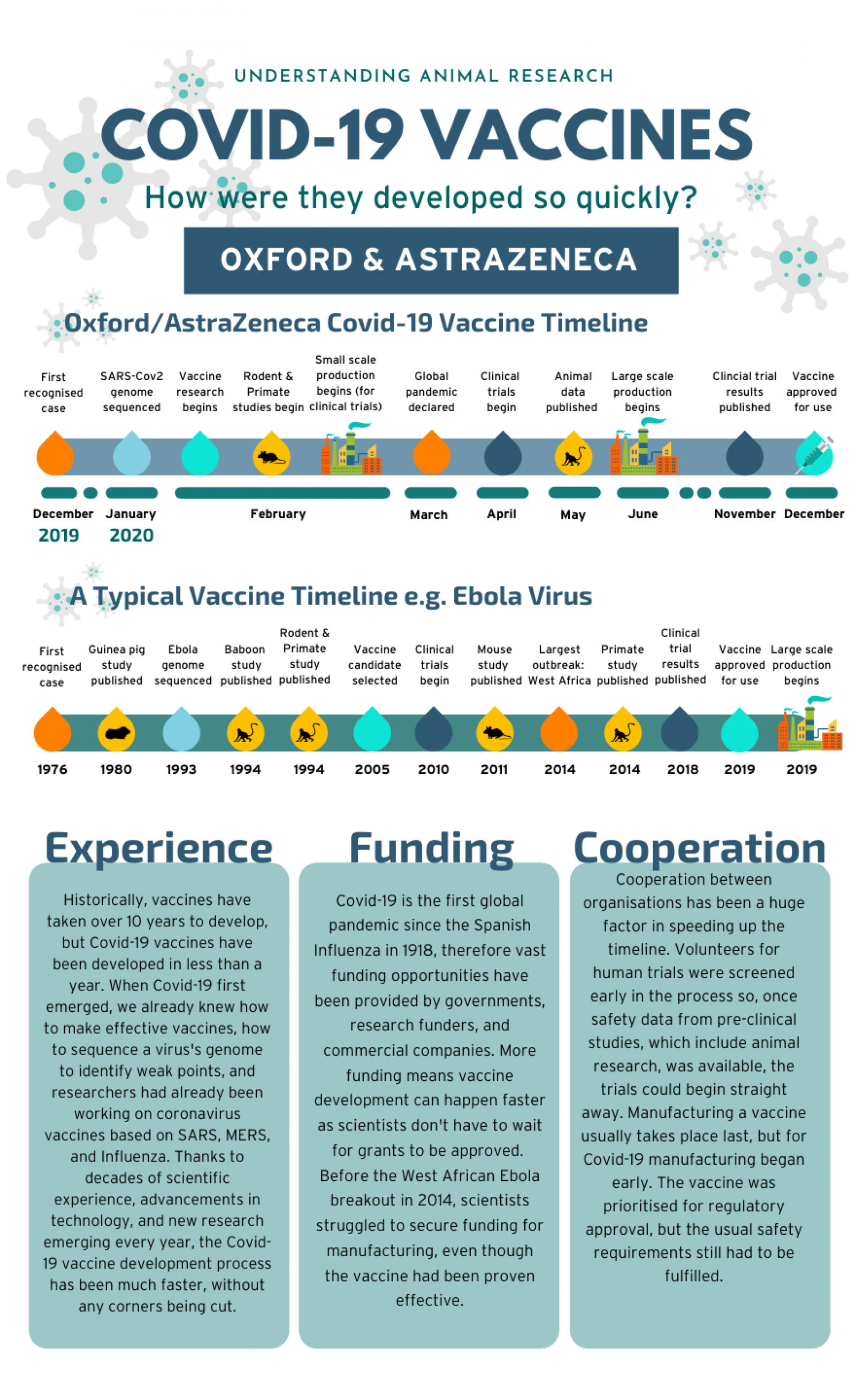 Oxford Astrazeneca vaccine timeline