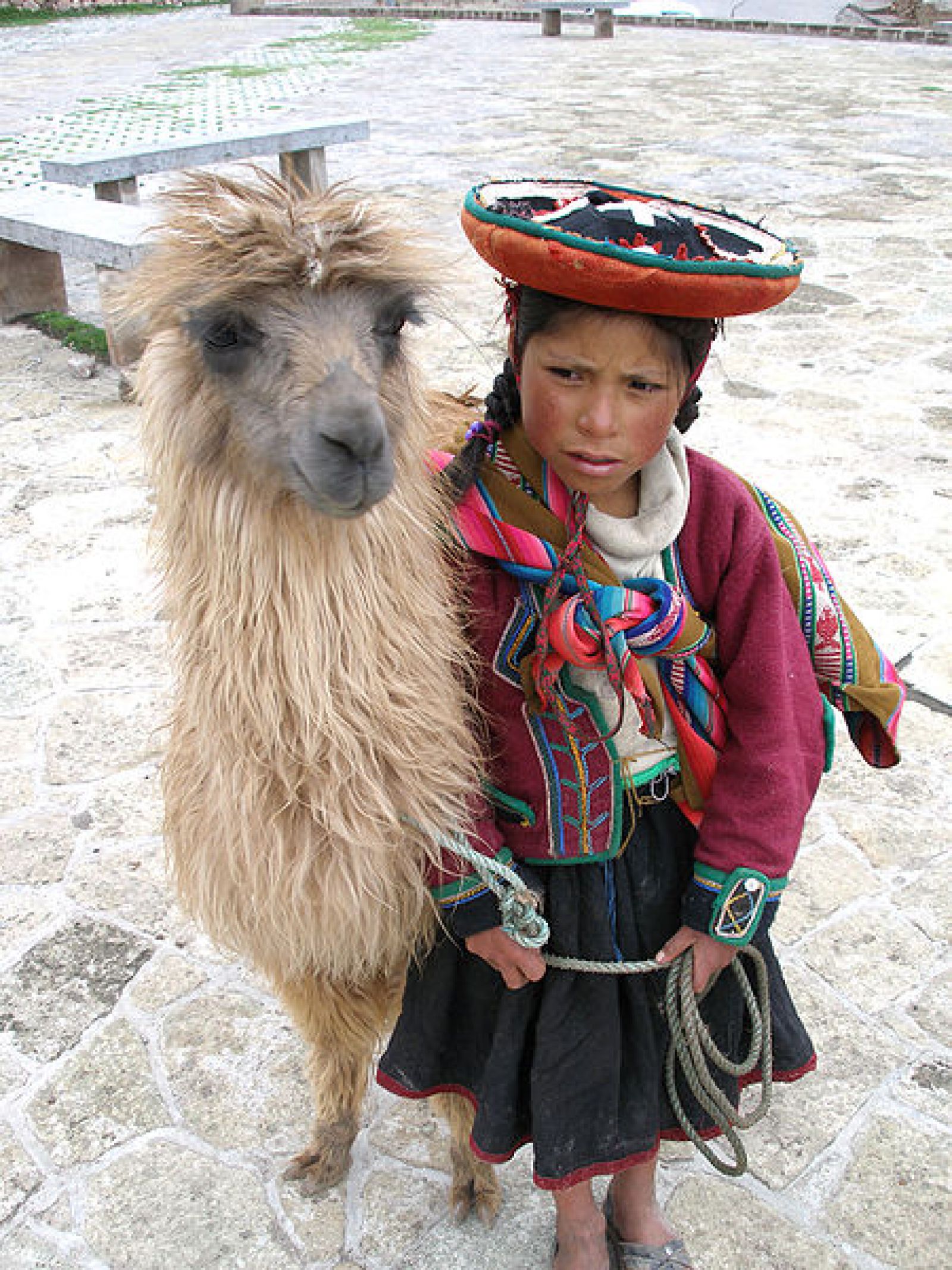 Quechua girl and llama