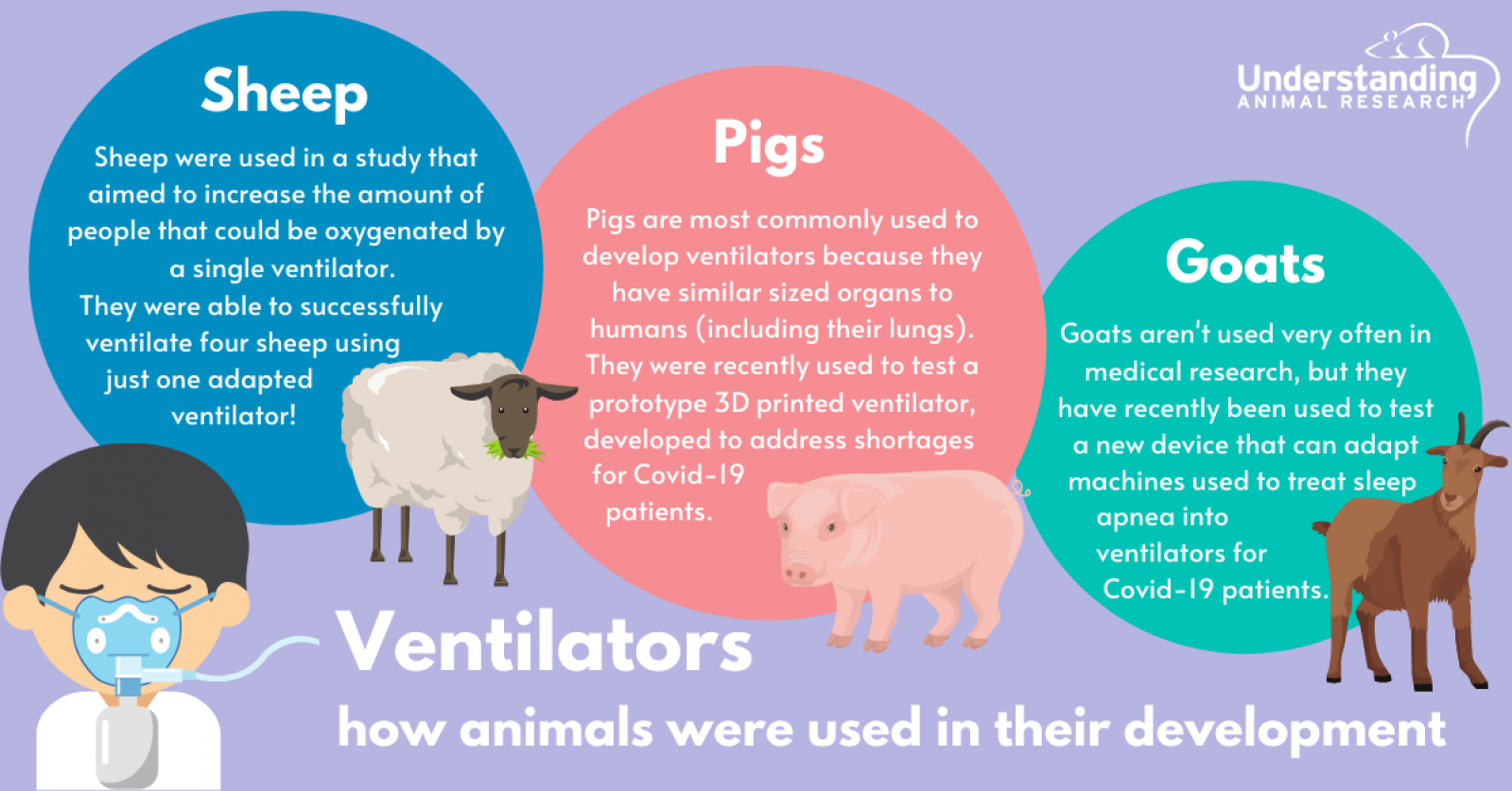 Animals used to develop ventilators