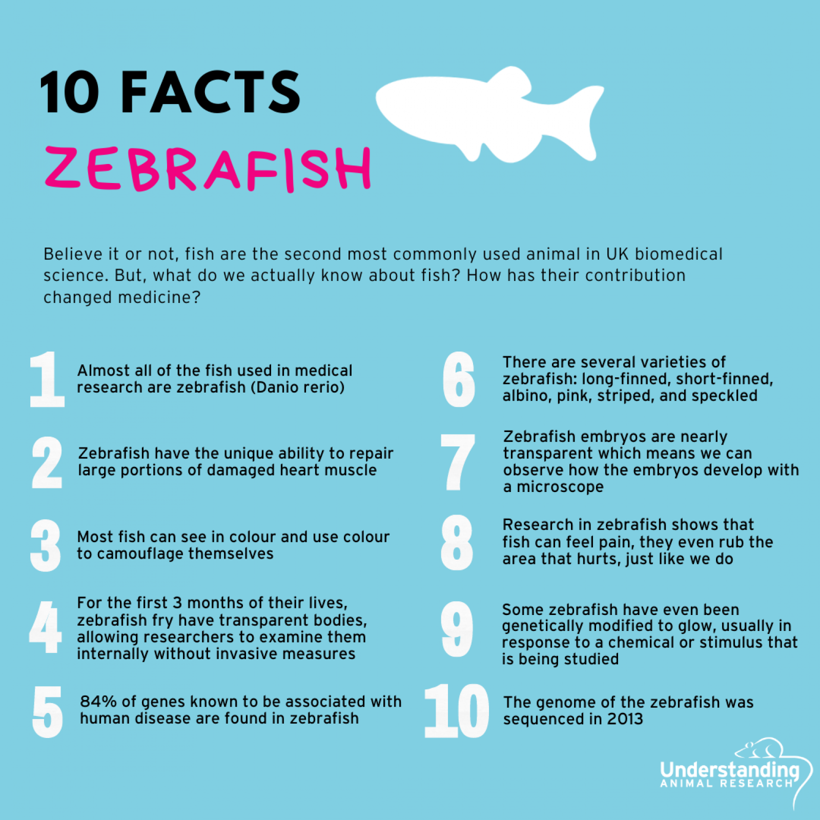 10 facts about fish