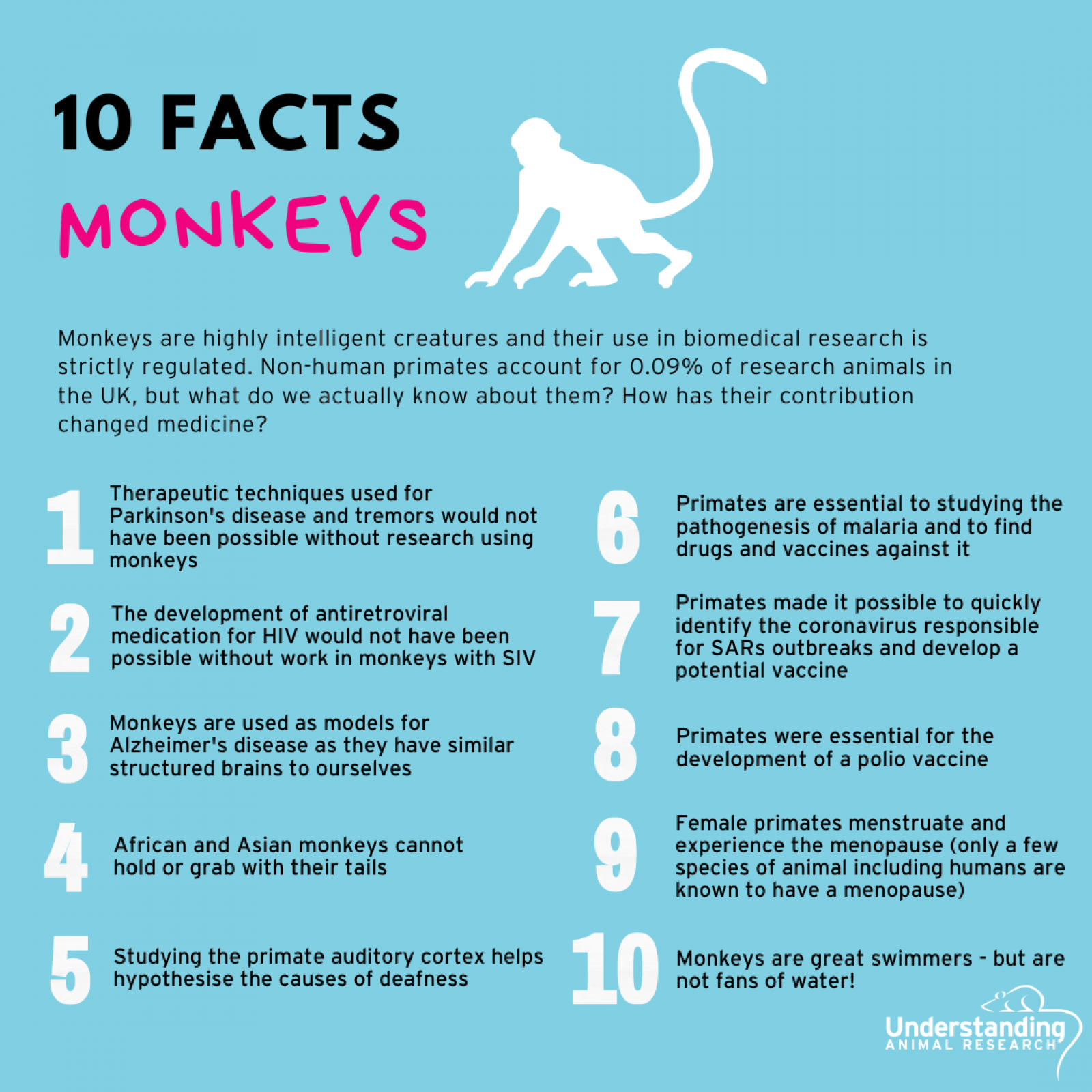 10 facts about monkeys