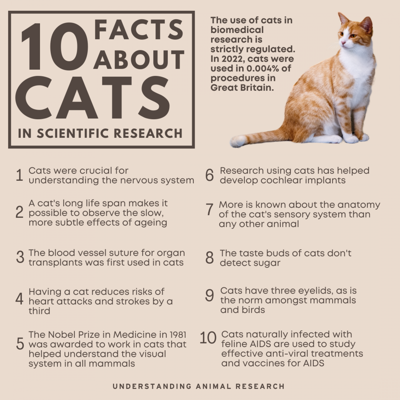 10 Facts Cats