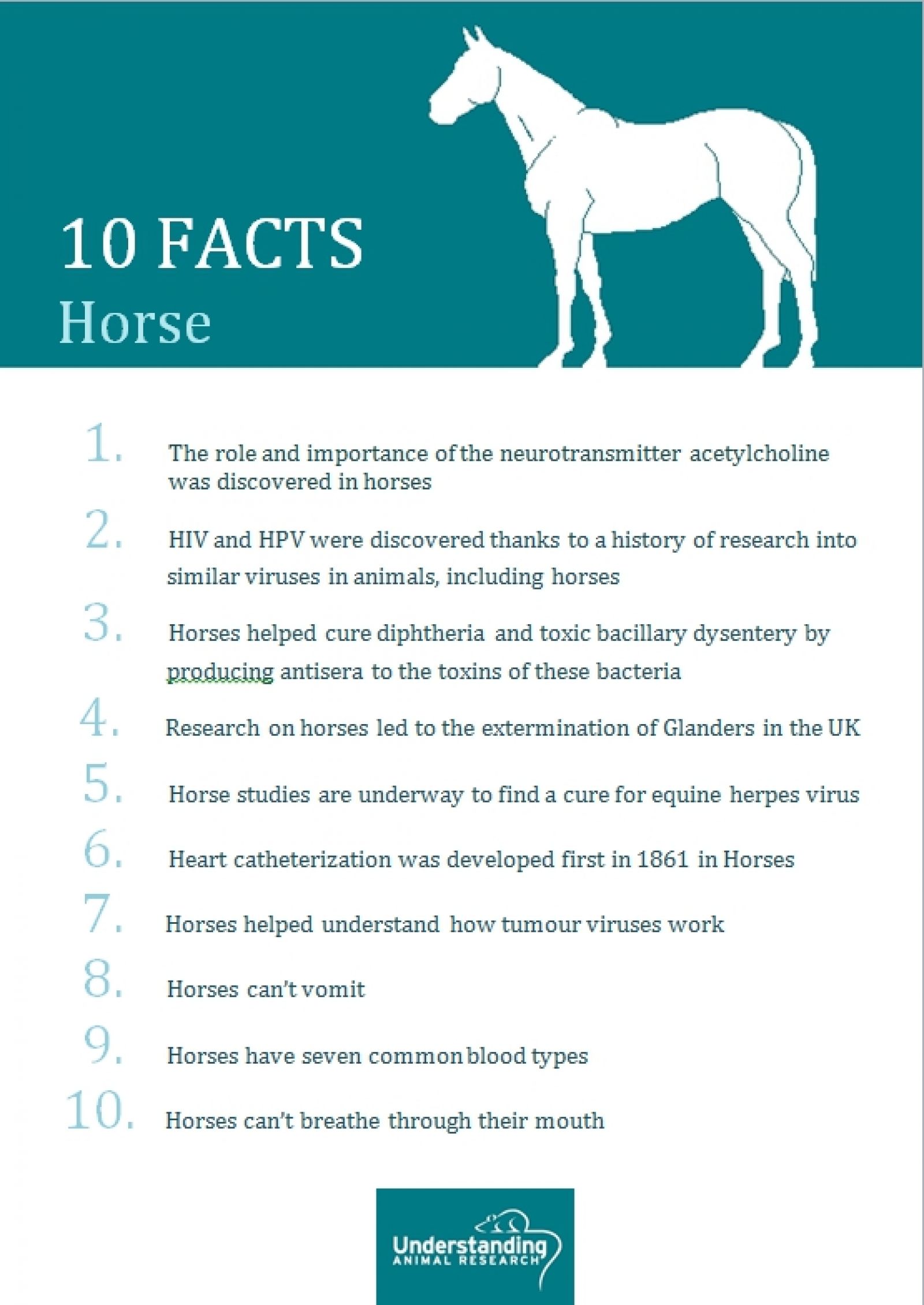 Horses ten facts