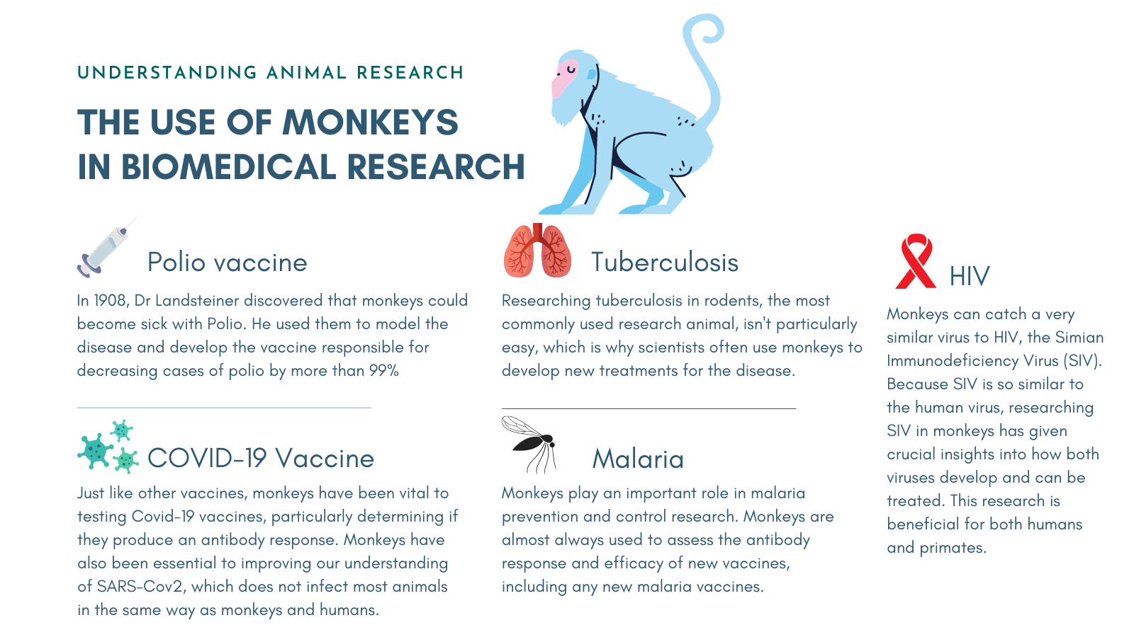 Monkeys in research