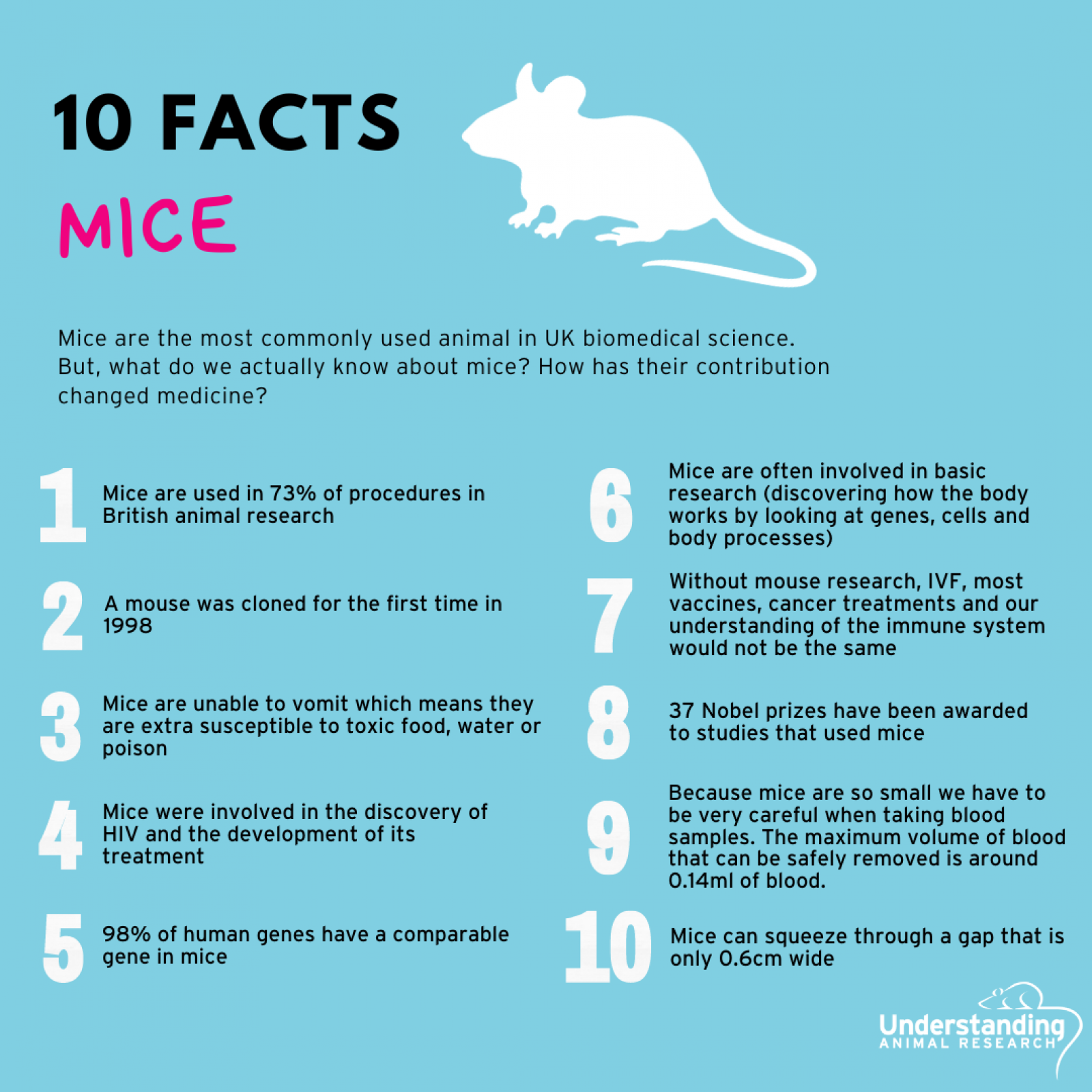 10 facts about mice