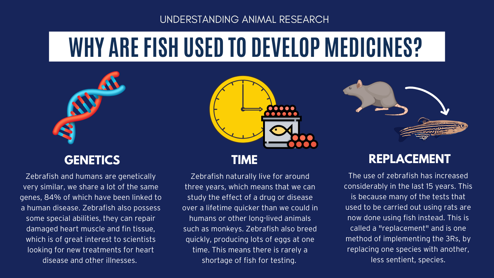 Why are fish used to develop medicines?